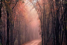 豪门国际:中国足协主席宋凯提出六大举措,强调技术为王,重视青训等方面.