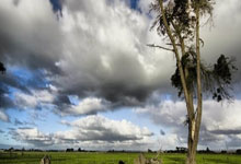 豪门国际:英媒预测:中国男足0-2沙特,塞尔吉尼奥有望首秀.