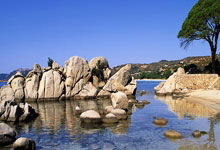 世预赛18强赛迎战沙特队,国足主教练解读大名单环球时报.